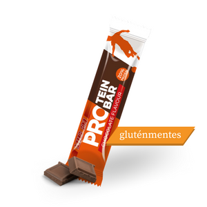 MIG 21 CHOCOLATE PROTEIN bar 45g